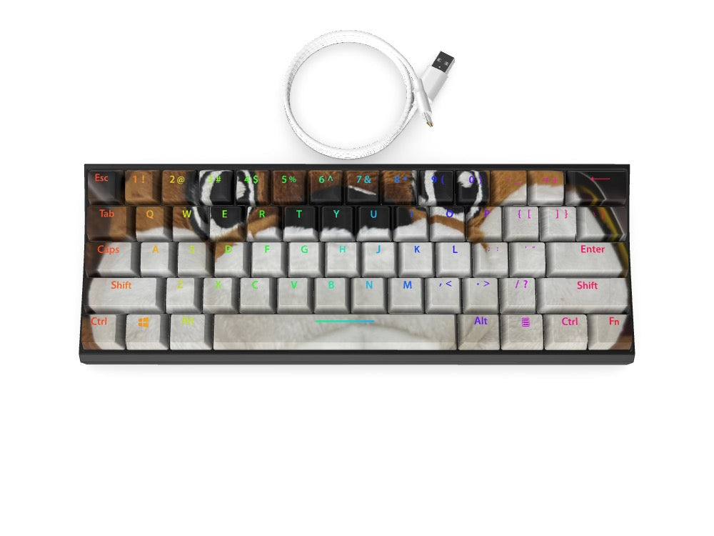 T60 Keyboard - Custom Design Ref: QNZJBXO
