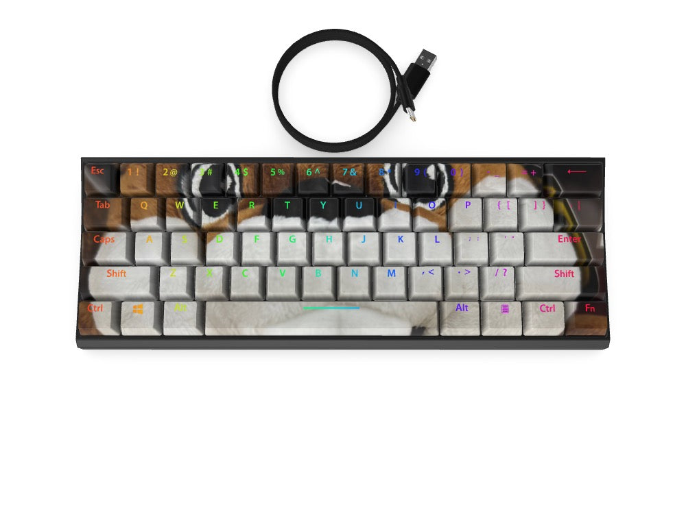 T60 Keyboard - Custom Design Ref: 5ZWGXHC