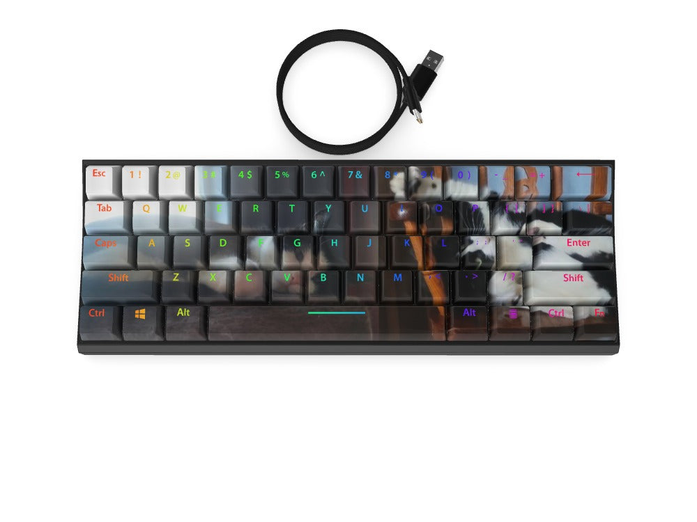 T60 Keyboard - Custom Design Ref: CJ16PMC