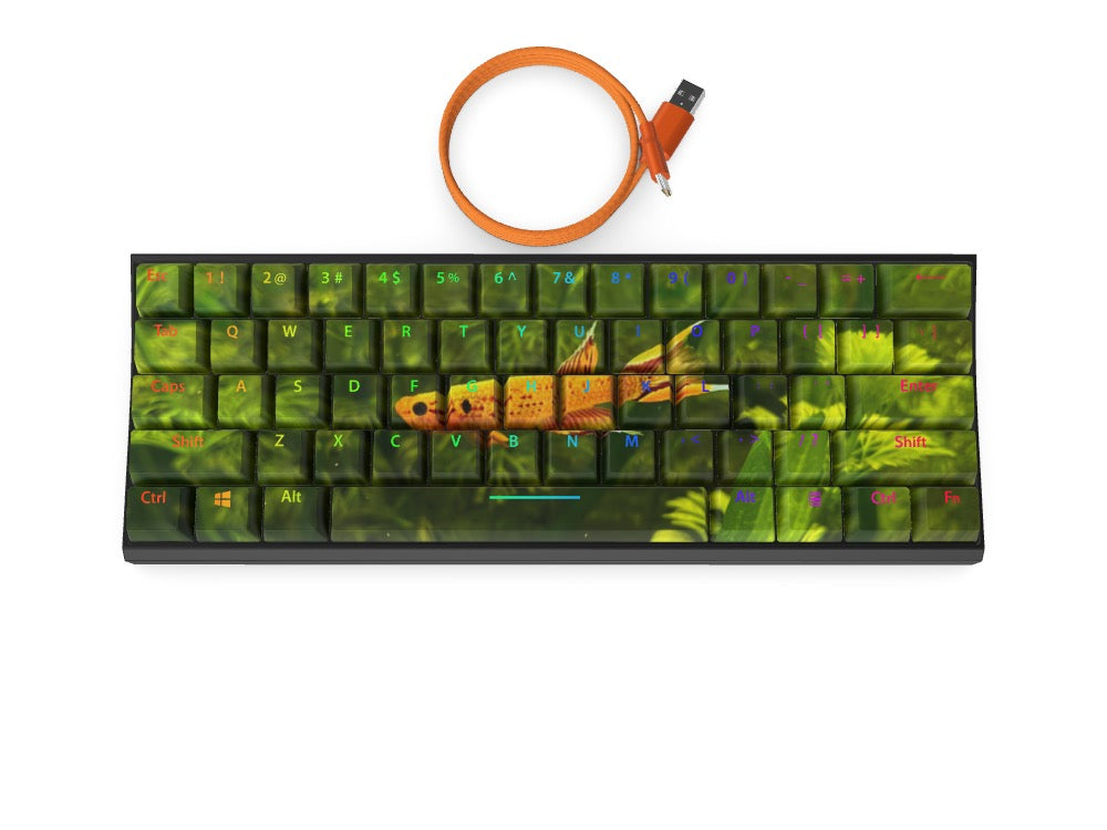 T60 Keyboard - Custom Design Ref: ILACNMP - [alt_customs]