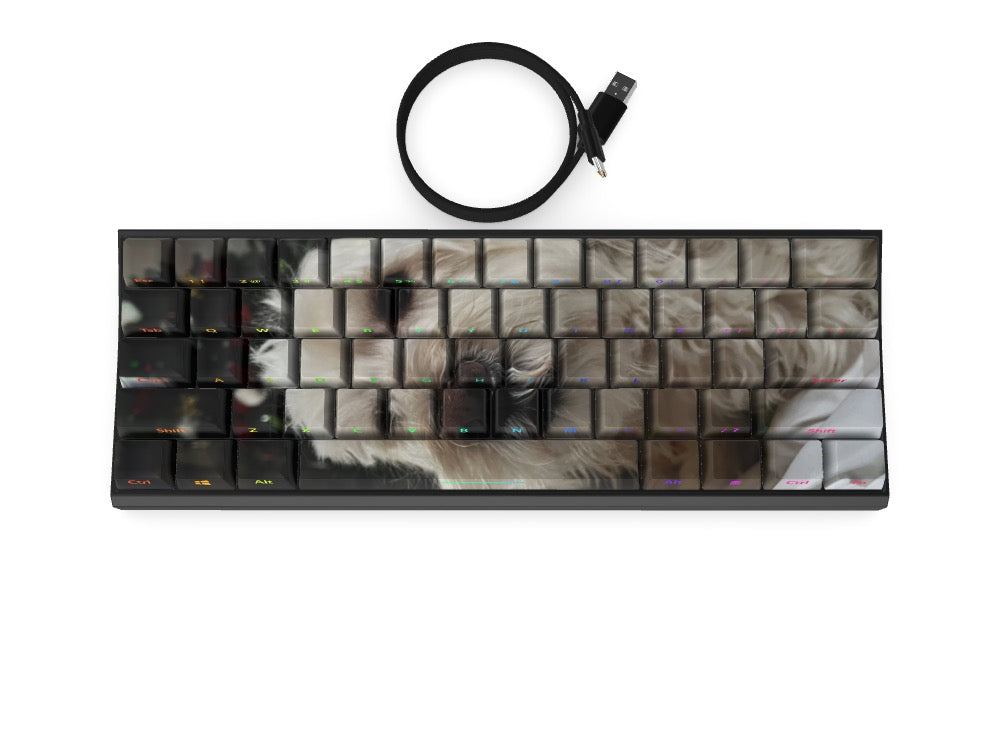 T60 Keyboard - Custom Design Ref: IZ77B6 - [alt_customs]