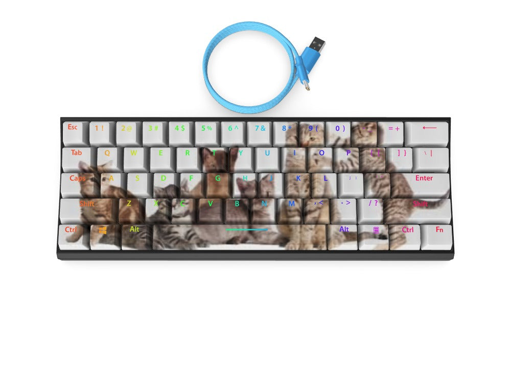T60 Keyboard - Custom Design Ref: OO7WQC5