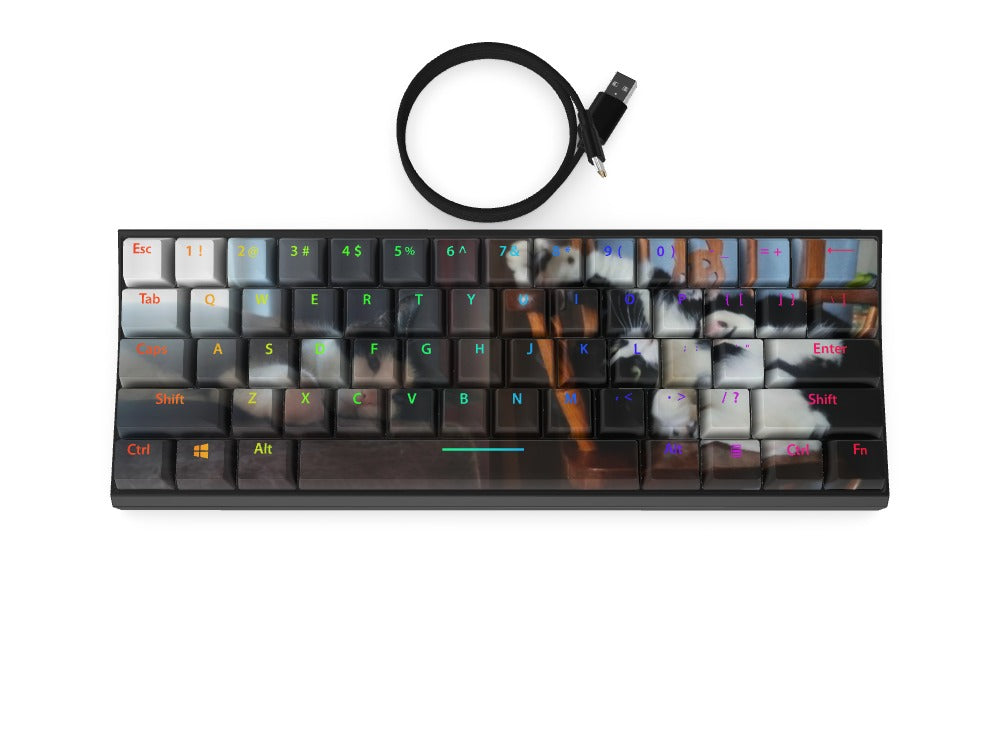 T60 Keyboard - Custom Design Ref: XFSY93E